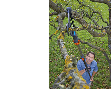 Tijeras de pértiga y mangos telescópicos renovados